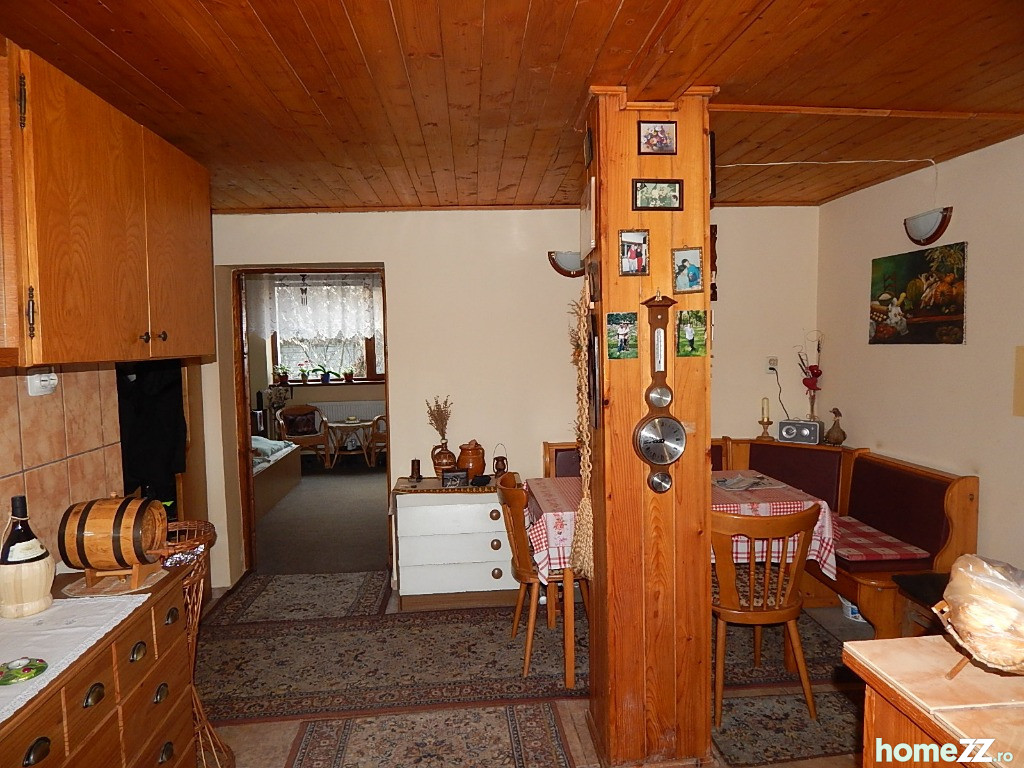 Casa in zona Ghirodei, gradina cu pomi fructiferi.