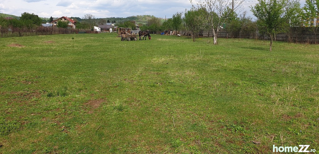 Teren intavilan pt casa in Campina,cartier Campinita,lotizat