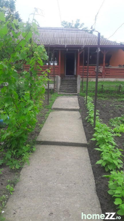 Casa Tiganasi Central