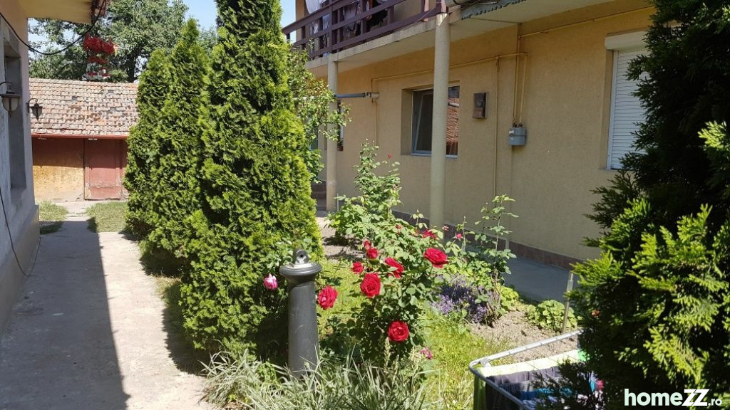 Apartament o camera cu gradina proprie zona Lunei