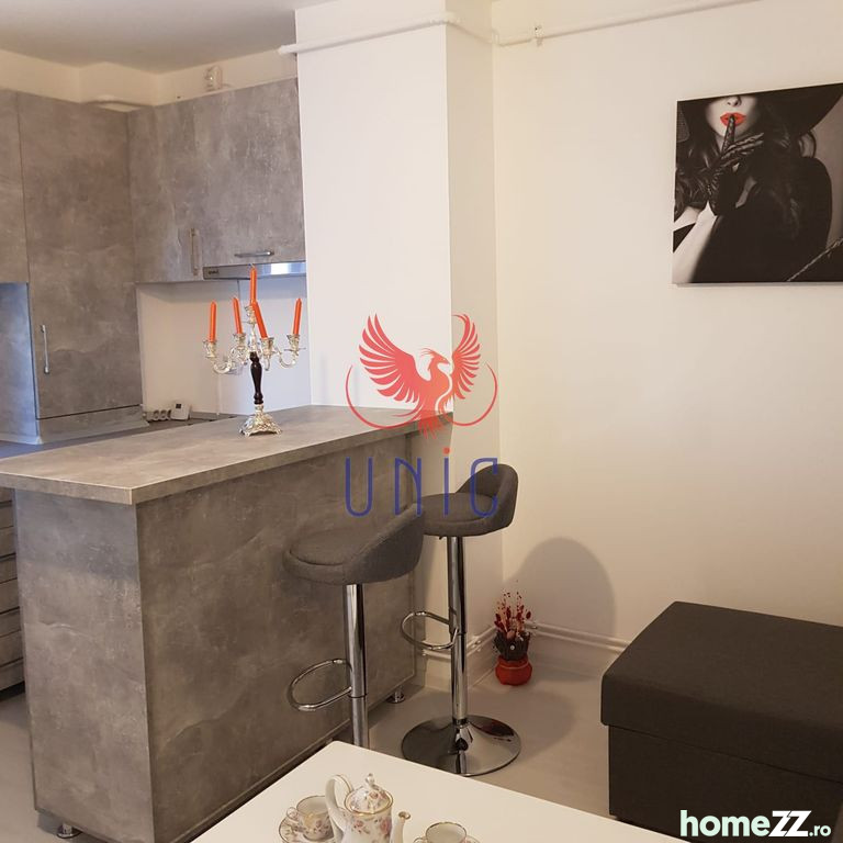 Apartament 1 cameră, Craiovita Noua