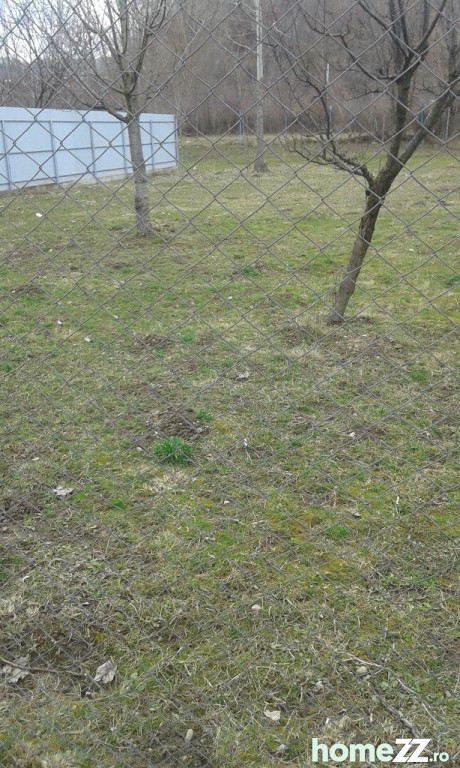 Campina, teren 980 mp