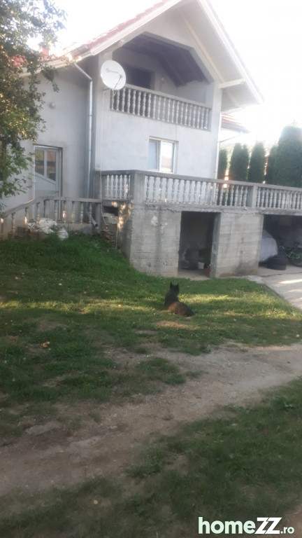 Casa la tara Scaueni, Berislavesti, Valcea, str Principală