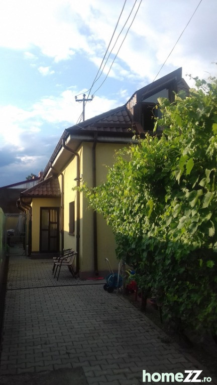 Casa "cu de toate" zona Radu de la Afumati