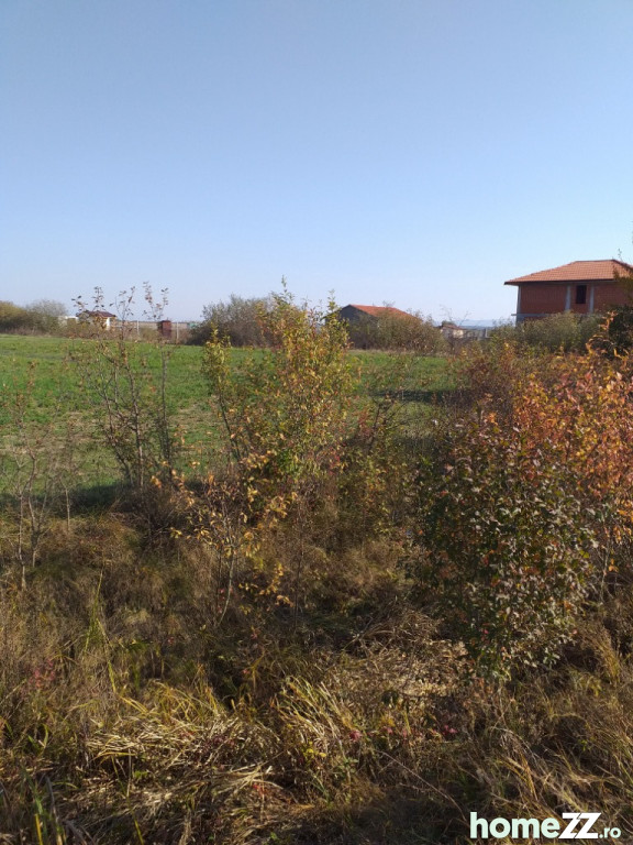 Teren Loc de casa la intrare Cionchesti 12 arii la sosea