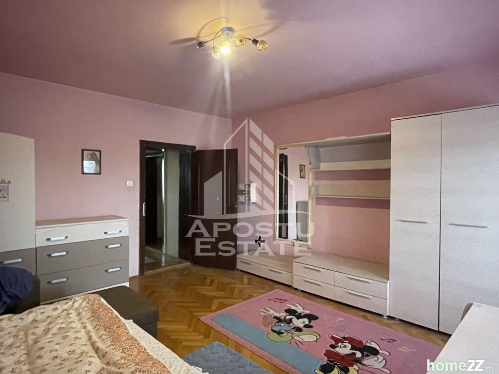 Casă - Vilă 5+ camere, Elisabetin