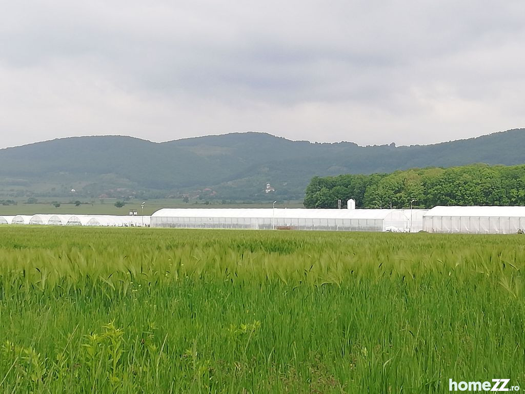 Spațiu Industrial - Sera legume, Branisca, jud. Hunedoara