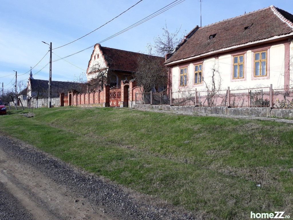 Casa batraneasca la 50km de Timisoara sat Babsa