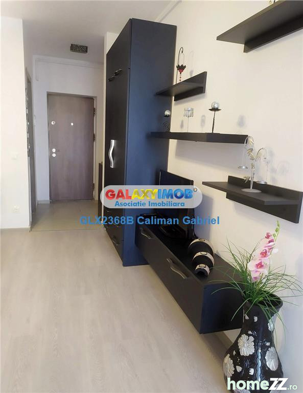 Apartament 1 cameră, Ozana