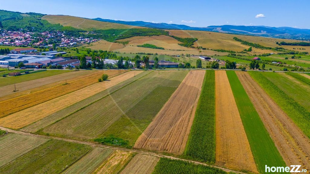 Teren, 7000 m²