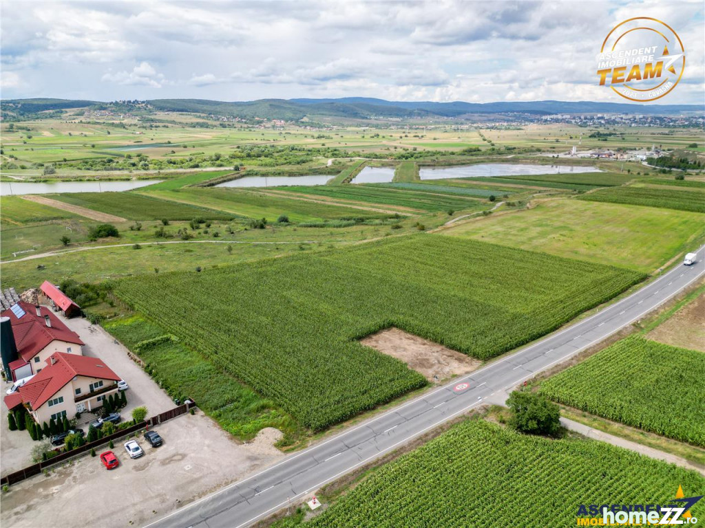 Teren, 3000 m², comision 0%