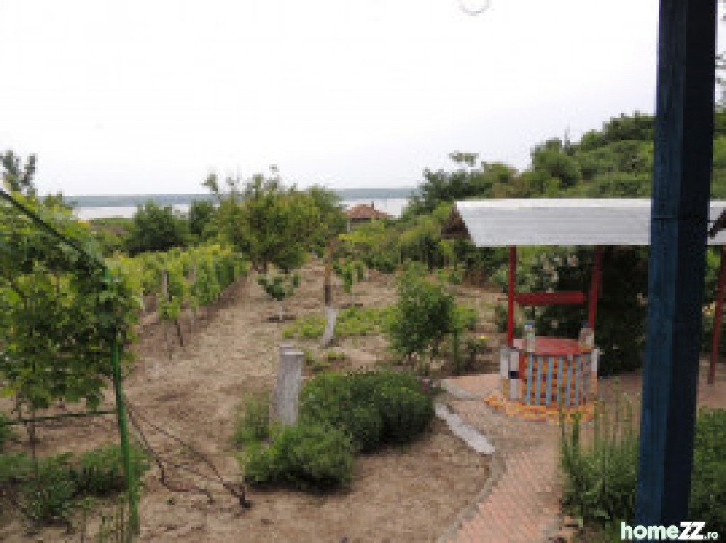 Casa 4 camare , Localitatea Satu Nou , Oltina Central