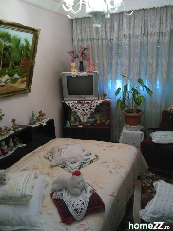 Apartament 3 camere str Bucegi tache