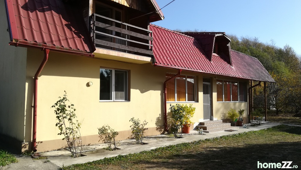 Casa și teren 5000mp în Bogati, Arges, 25 km de Pitești