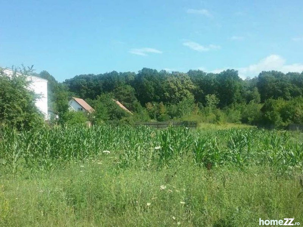 ID:16349: Teren intravilan, Ghermanesti