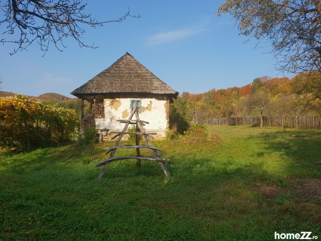 Teren intravilan in Com. Cicanesti Arges 2500mp