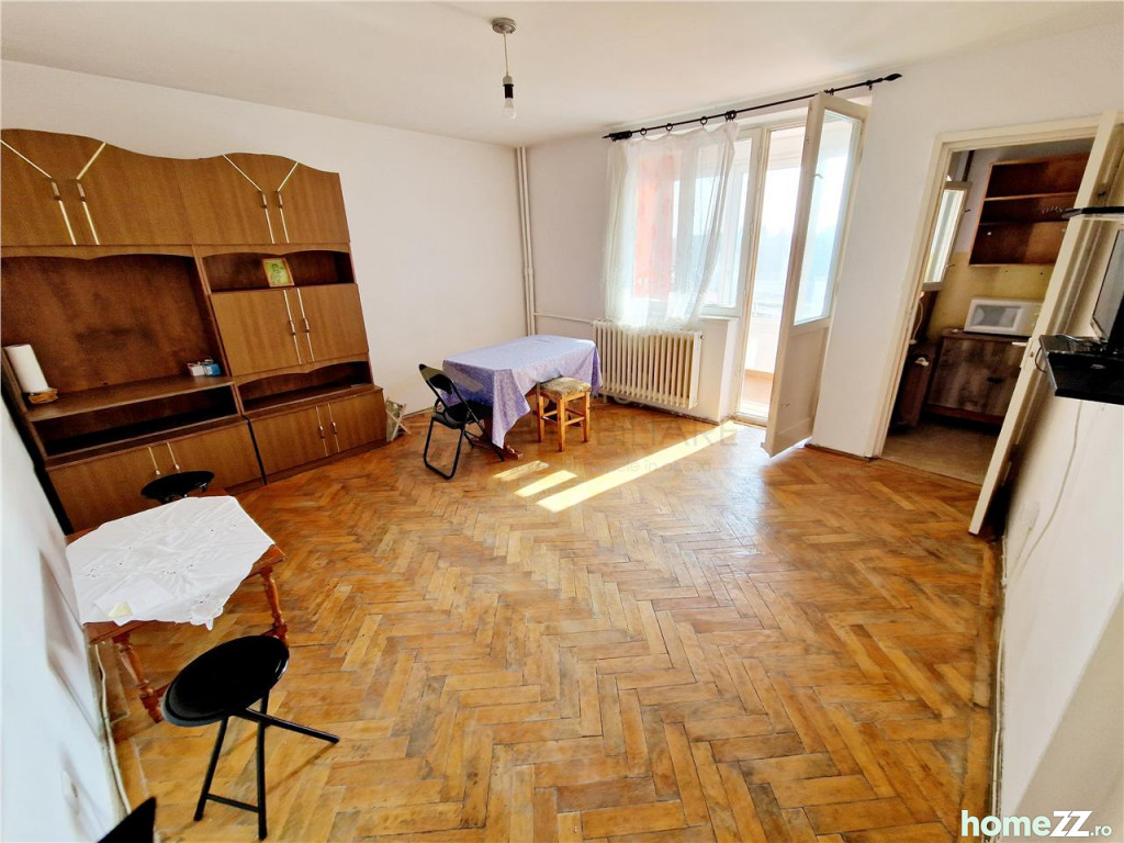 Apartament 1 cameră, Take Ionescu