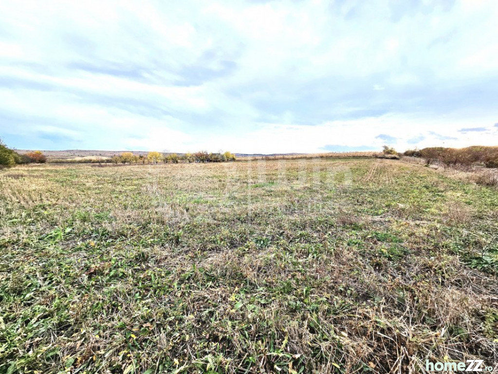 Teren, 700 m²