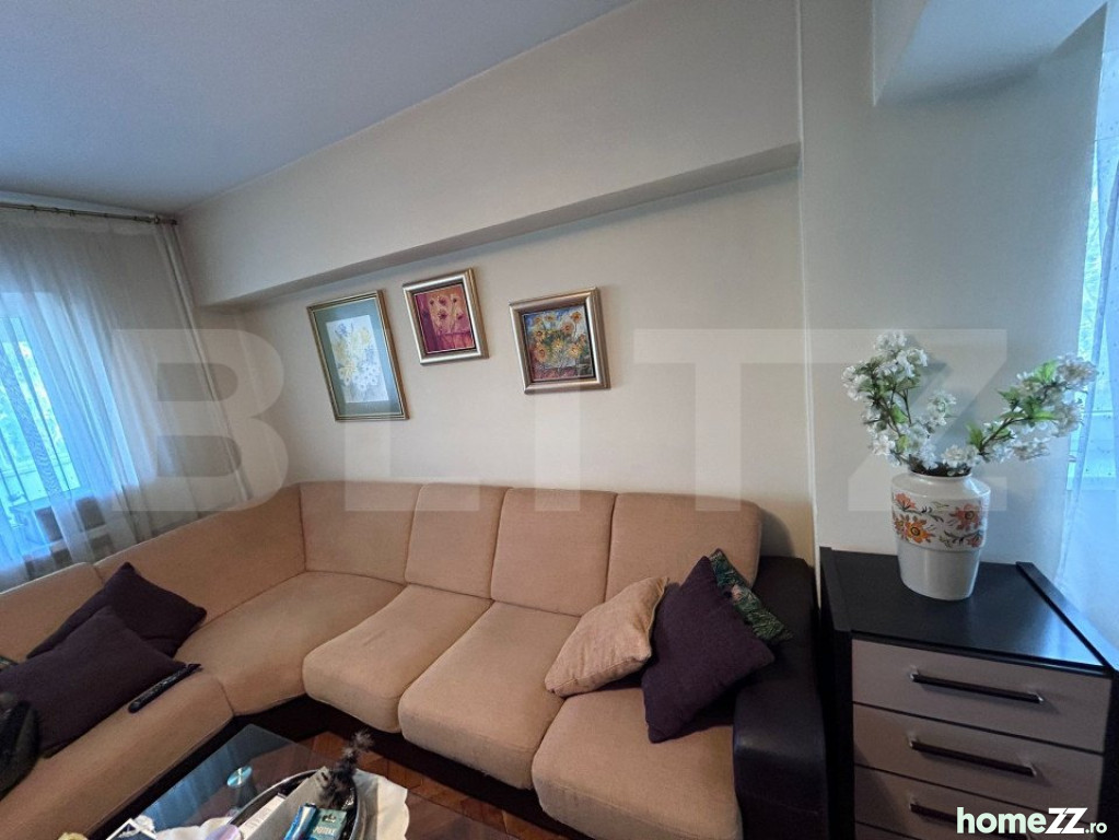 Apartament 3 camere, Brazda lui Novac