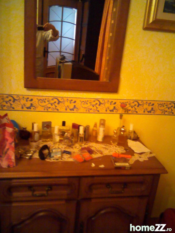 Casa mare Costache Negri, Galati
