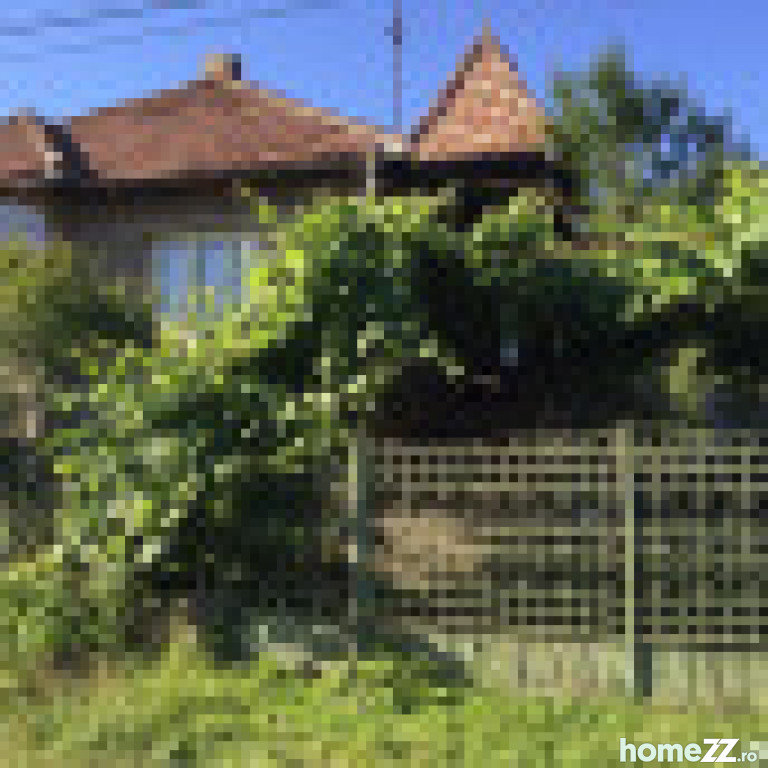 Casa cu gradina Nepos Central