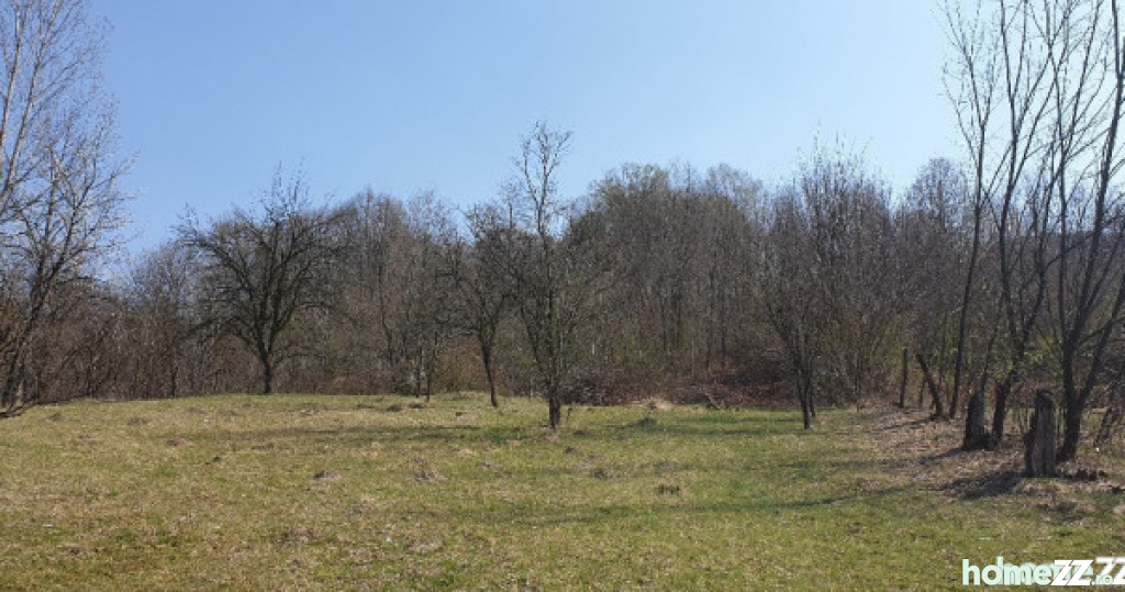 Teren Iedera - DB 3200mp