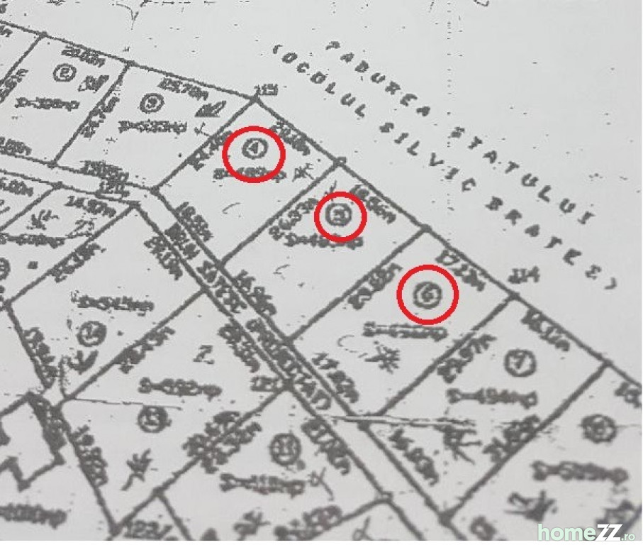 Teren Ardeluta 1468 mp