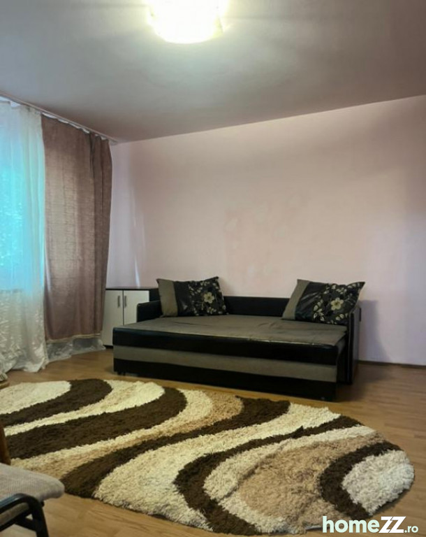 Apartament 1 cameră, Sagului