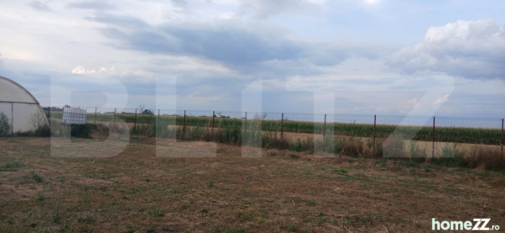 Teren, 6000 m²