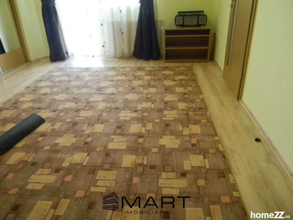 Apartament 1 cameră, Turnisor