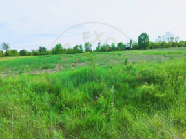 Teren intravilan de investitie 3.000 mp loc.Oarja Jud.Arges