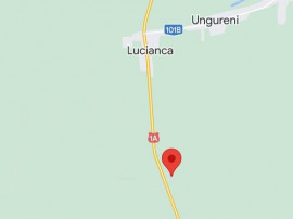 Teren extravilan 10.000 mp - Lucianca - Butimanu