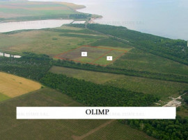 Teren intravilan - Olimp - Lacul Racilor - 50.000 mp(Cod E2)