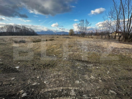 Teren 8000 mp, zona Pestisani