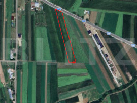 Teren, 4902 mp, Udesti