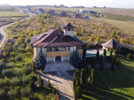 Proprietate Unică de V&acirc;nzare &icirc;n Vișani, Iași &ndash; Reșed