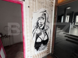 Spațiu comercial, 6 incaperi, 237 mp, zona Big