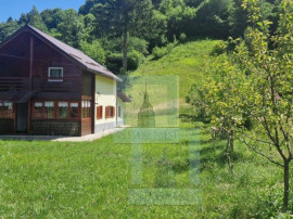 Casa de vacanta - zona Dambovicioara (ID: CP2392157)