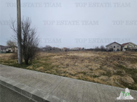 TEREN INTRAVILAN 1000 MP COSTINESTI