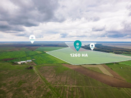 Teren 13500000 mp &icirc;n Socodor