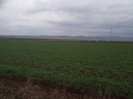 De v&acirc;nzare terenuri intravilane &icirc;ntre Chilieni si Ozun