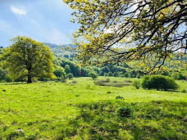 TEREN POTENTIAL TURISTIC - Rasnov - Cheisoara