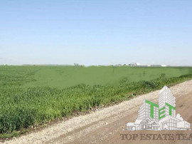 Teren de vazare pt investitie, Sinesti, 4 eur / mp, 21000mp