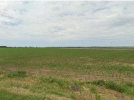 Teren extravilan Pogoanele, ID: R2586845