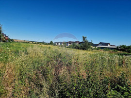 Teren intravilan Piatra Neamt