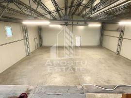 Hala depozitare, parcare, Dumbravita