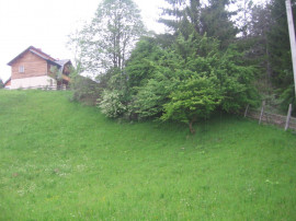 Teren intravilan Valea Doftanei