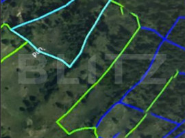 Padure 1,42 hectare in Poiana Ilvei