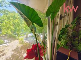 Apartament 3 Camere, Zona Linistita-Severinului