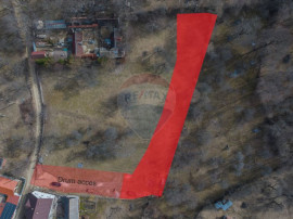 Teren 1,614mp Sohodol / Strada &Icirc;nv. Ioan Pușcariu